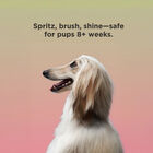 BioSilk For Dogs Irresistible Detangling and Shine Spray, , large image number null